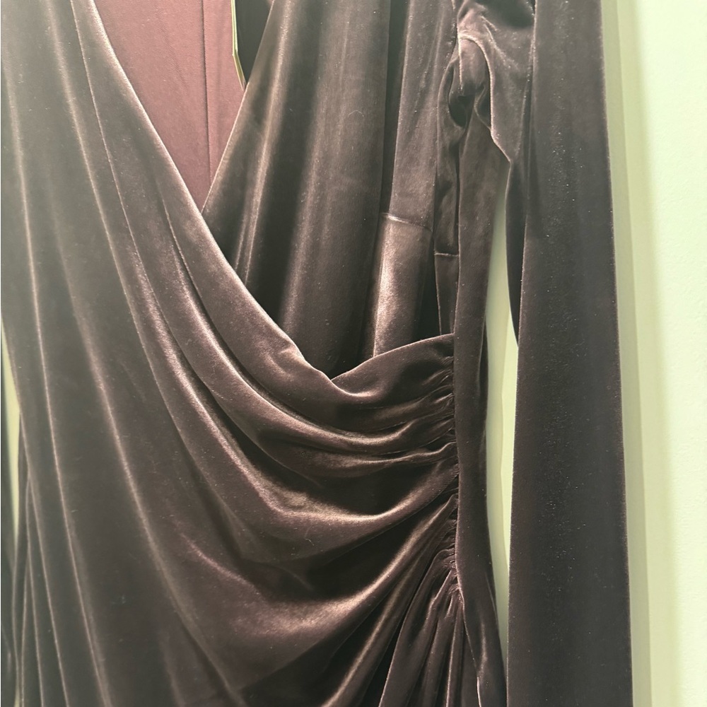 NWT Ralph Lauren Plum Velvet Long Sleeve Dress